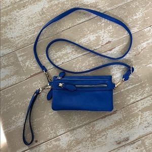 Blue and gold crossbody or clutch purse